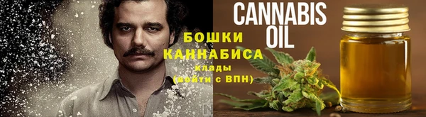 индика Богданович