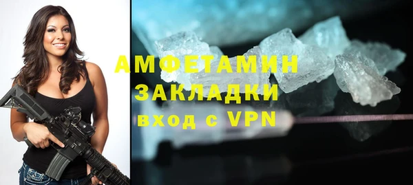 индика Богданович