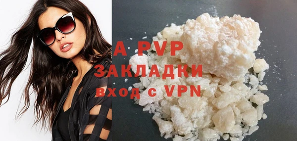 индика Богданович