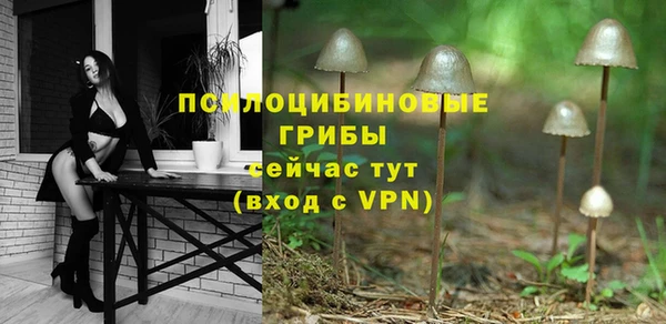 2c-b Беломорск