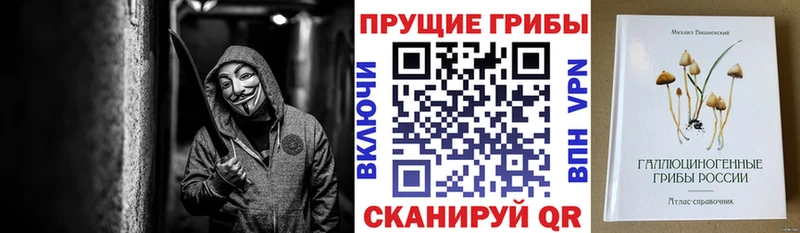 где можно купить   Болхов  Галлюциногенные грибы Psilocybe 