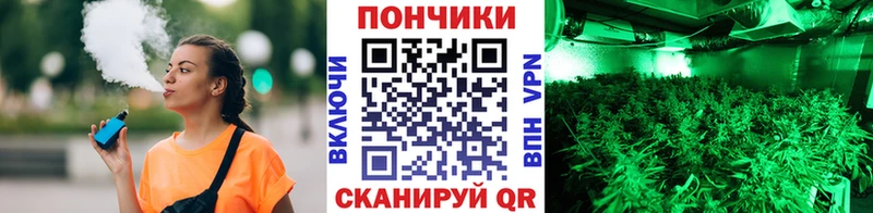 Каннабис сатива  где найти   Болхов 